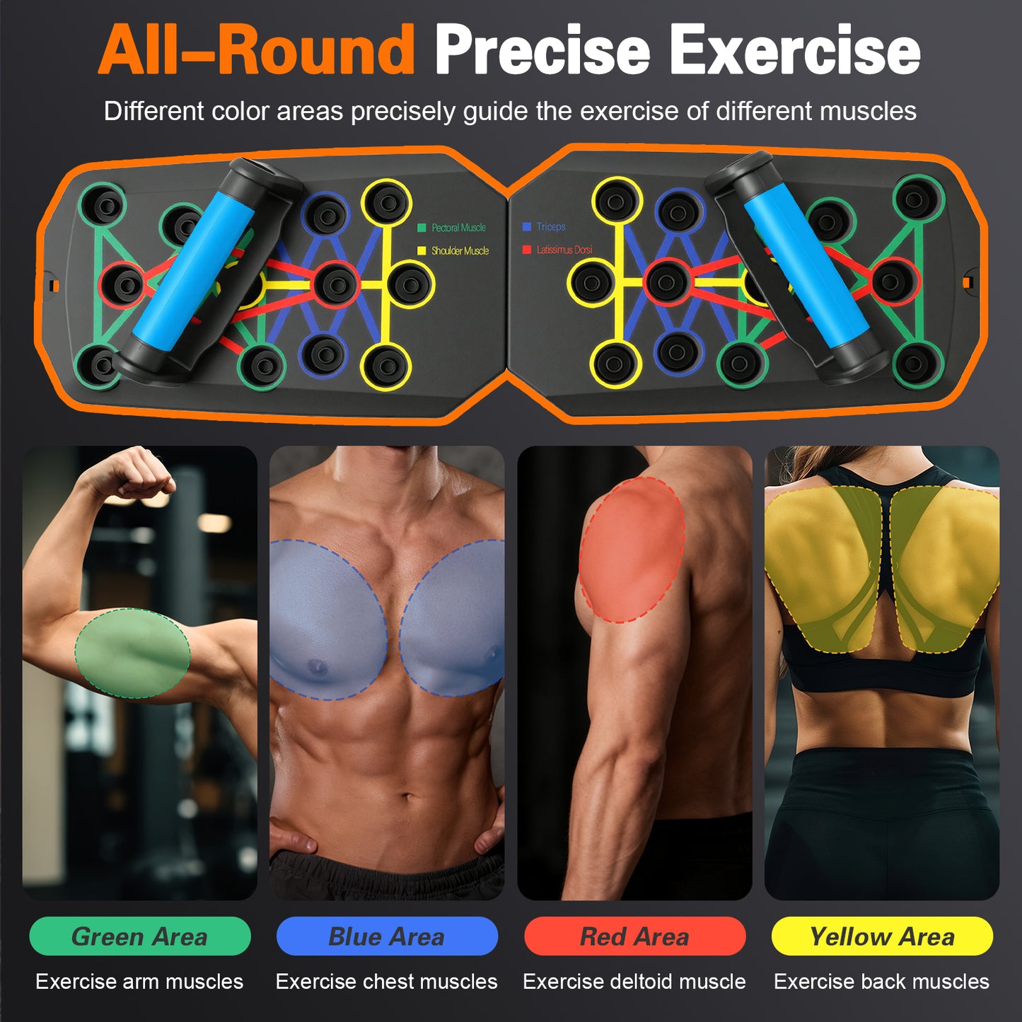 Rican Push up Board, Multifunctional Folding Push up Board, Portable Folding Push up Exercise Equipment, Suitable for Chest and Back Exercises, Fitness Strength Training Equipment